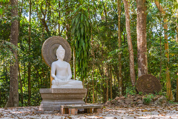 Beautiful White Buddha in the garden