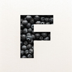 Font design, Abstract alphabet font with blueberry, realistic typography - F