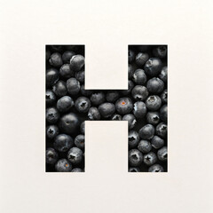 Font design, Abstract alphabet font with blueberry, realistic typography - H