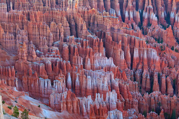 Bryce