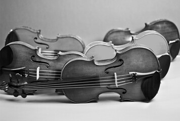 Five violins on grey background. Violin