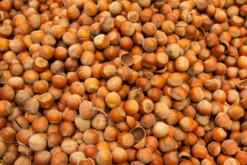 Forest nut background. Full and half of hazelnuts on white background top view. Isolated