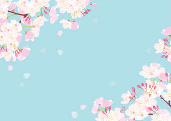 桜 背景イラスト Wall Mural April April Wallpaper Murals Perori