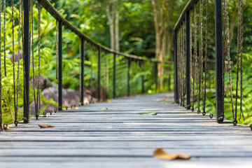 wood bridge in the forest.
