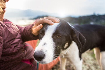 Girl playing with a dog while traveling