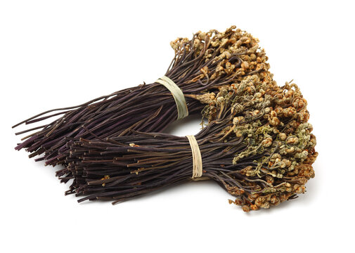 Paku Bilder Durchsuchen 771 Archivfotos, und Videos