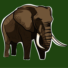 elefante