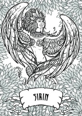 Sirin - half-woman half-bird in Russian myths and fairy tales. Singing and laughing. Intricate linear drawing on a decorative leafs background. Coloring book page. Tattoo design. EPS10 vector drawing.