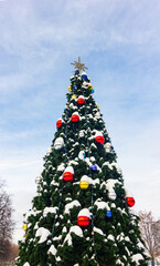 Christmas tree on the background of the blue sky in the park