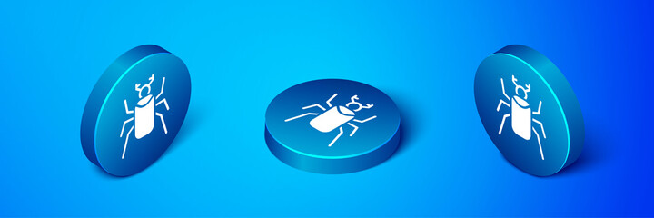 Isometric Beetle bug icon isolated on blue background. Blue circle button. Vector.