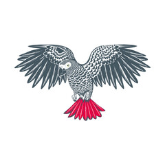 african grey parrot vector logo