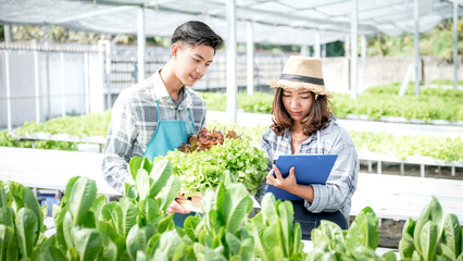 2 Farmer inspect the quality of vegetable organic salad and lettuce from hydroponic farm and make notes on clipboard to give customers the best product