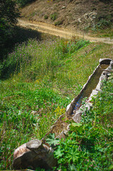 Green meadows and water accumulating in a wooden gutter.