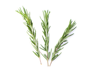 Fototapeta premium Rosemary isolated on white background