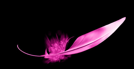 Beautiful color feather isolated on black background