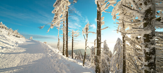 Atemberaubendes Panorama, Landschaft im Winter mit Schnee auf der Schwarzwaldhochstraße Mummelsee...