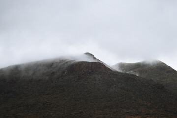 Whispered Into Being