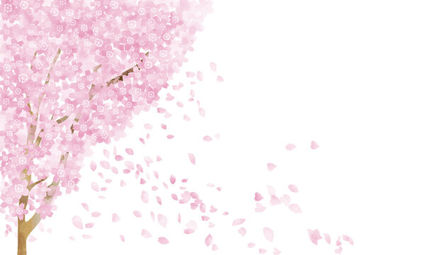水彩風　桜の木と花びら舞う