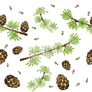 Larch pattern. Larix decidua branch, cone. Hand drawn botanical illustration.