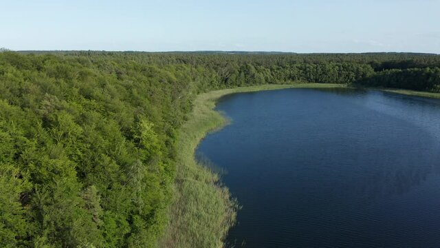 Grosser Linowsee lake, Rheinsberg, Brandenburg, Germany.