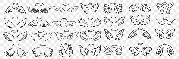 Angels wings and halo doodle set. Collection of hand drawn wings and halos of angels accessories of saint character in rows isolated on transparent background. Illustration of sacred person attributes © drawlab19