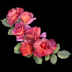 Red roses  isolated on black background. Floral arrangement, bouquet of garden flowers. Can be used for invitations, greeting, wedding card.