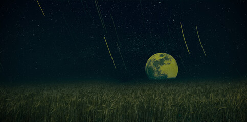 moon and grass, moon at night with stares and crop field.