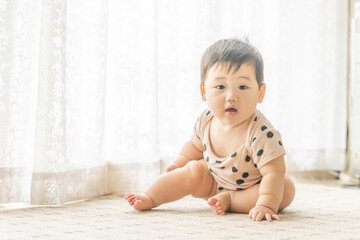 Naklejka premium リビングの窓辺でお座りやはいはいをする赤ちゃん