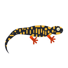 Fototapeta premium Geometric Stylized Salamander Icon in Flat Design