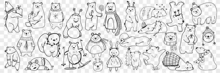 Polar and teddy bear doodle set. Collection of hand drawn funny bears in scarves and accessories doing sport, sleeping, enjoying life isolated on transparent background. Illustration of bear for kids