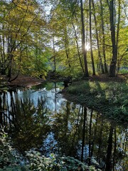 Wunderschöner Eindruck von Mutter Natur an einem kleinem Bach © Max