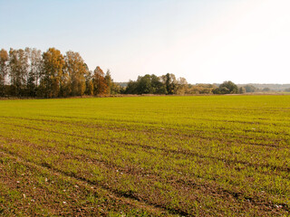 Fototapeta na wymiar plowed field in autumn