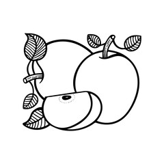 Apples hand drawn vector illustration. Apples with leaves outline graphic. Apples sketch drawing. Part of set.