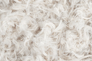 White feathers and fluff from pillows texture background