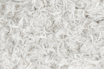 White feathers and fluff from pillows texture background