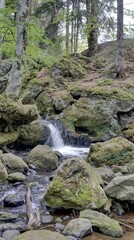 Fototapeta na wymiar cascade en Auvergne