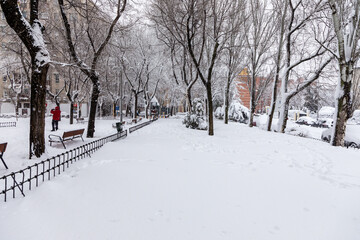 Naklejka premium people enjoying the streets of snow, in the city of Madrid, covered by the storm philomena, january 05, 2021 in Madrid