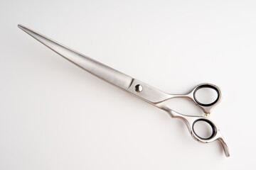 Dog grooming scissors isolated on light background