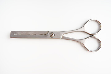 Dog grooming scissors isolated on light background