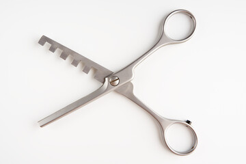 Dog grooming scissors isolated on light background
