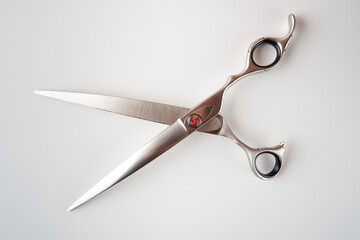 Dog grooming scissors isolated on light background