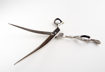 Dog grooming scissors isolated on light background
