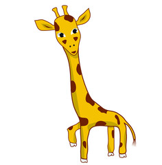 Fototapeta premium Giraffe animal looking straight - character hand drawing vector flat illuctration 