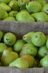 Green Pears for Sale at Outdoor Farmer's Market