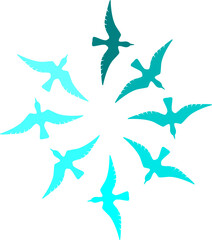 Obraz premium birds flying in a round dance