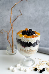 Healthy breakfasts oatmeal with berries and cottage cheese. Healthy diet. 