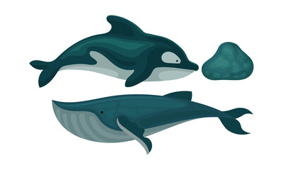 Marine Habitant with Dolphin and Whale Vector Set