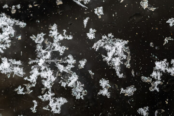 Snowflake. Macro photo of real snow crystal. Beautiful winter background seasonal nature and the weather in winter.