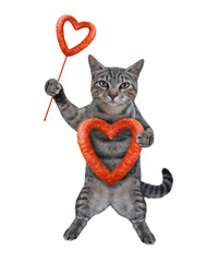 A gray cat holds heart shaped sausages. White background. Isolated.