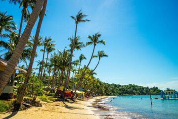 Beautiful landscape of Hon Thom beach, Phu Quoc island, Vietnam, Asia with tourist, chairs and umbrella. White sand and coco palms travel tourism and swing under tree.